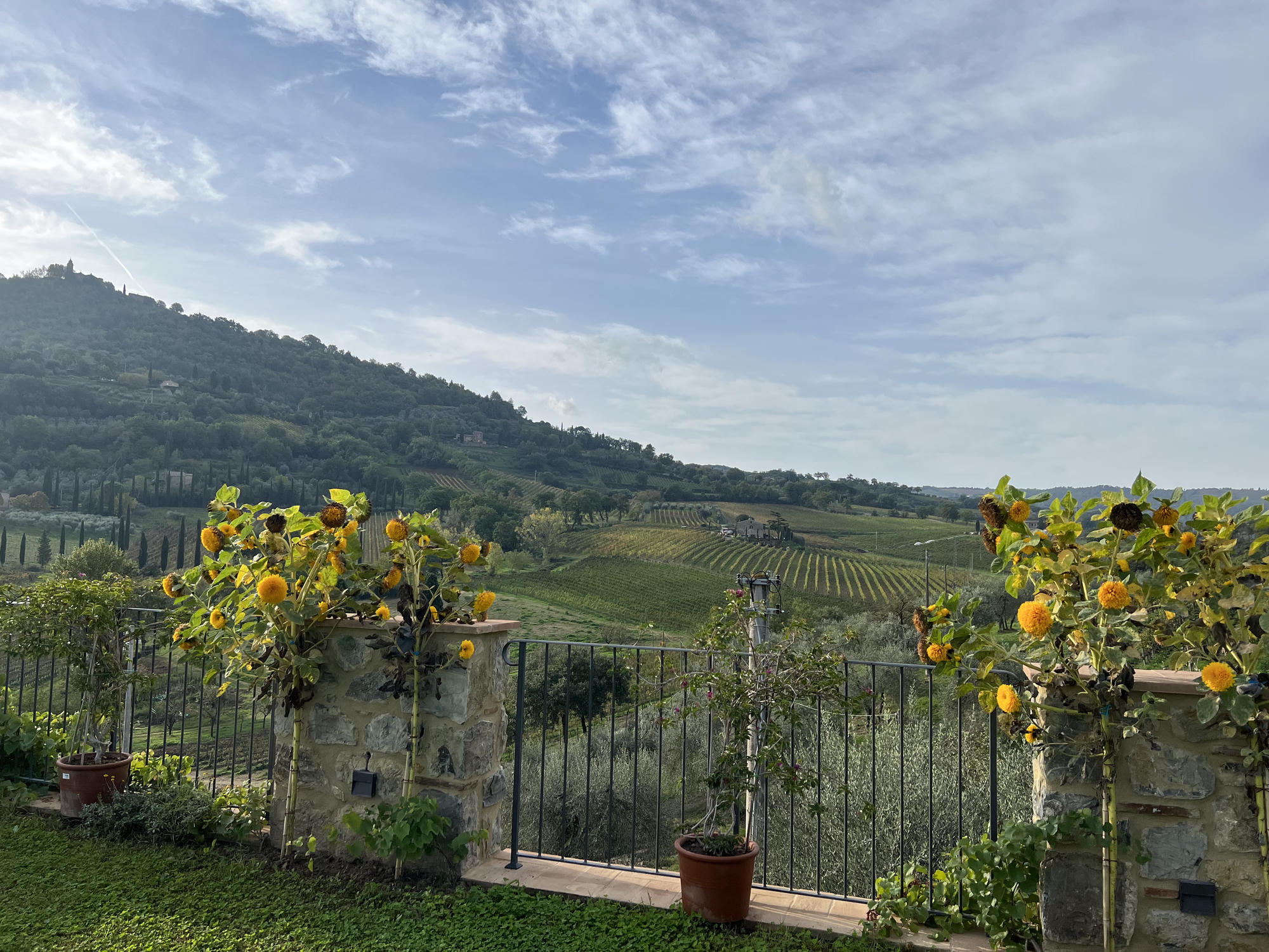 Tuscan countryside with vineyards, hillside homes, and flowering terrace planters