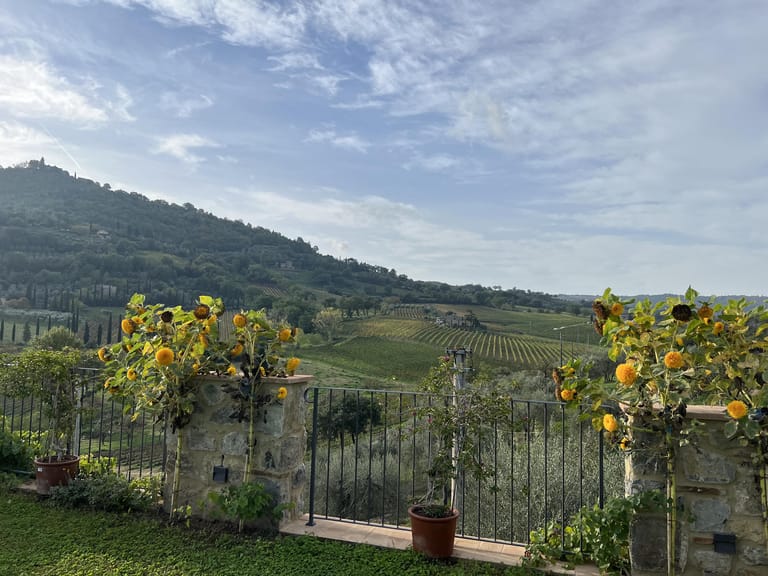 Tuscan countryside with vineyards, hillside homes, and flowering terrace planters