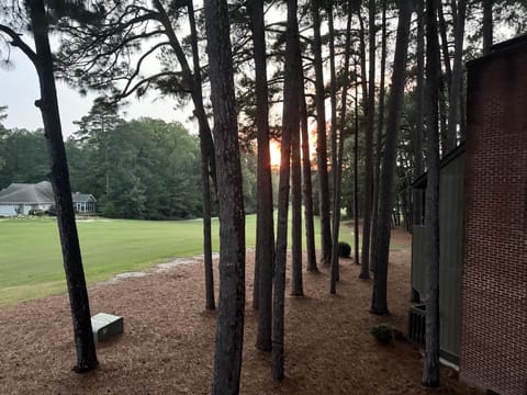 Sunset through the pines, Pinehurst, NC