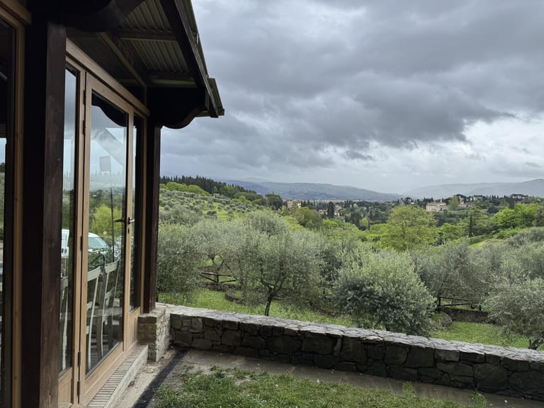 View of olive groves and hills from a Tuscan farmhouse